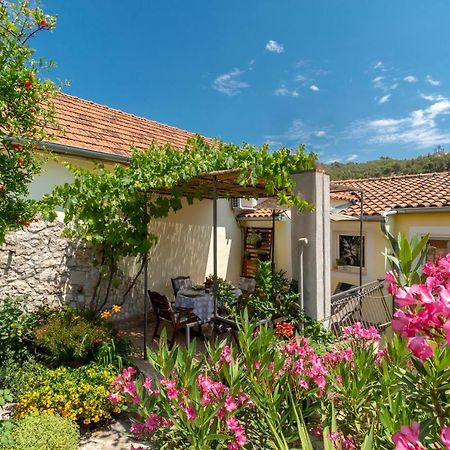 Mediterranean Terrace Apartment With Bikes & Sup Skradin Esterno foto